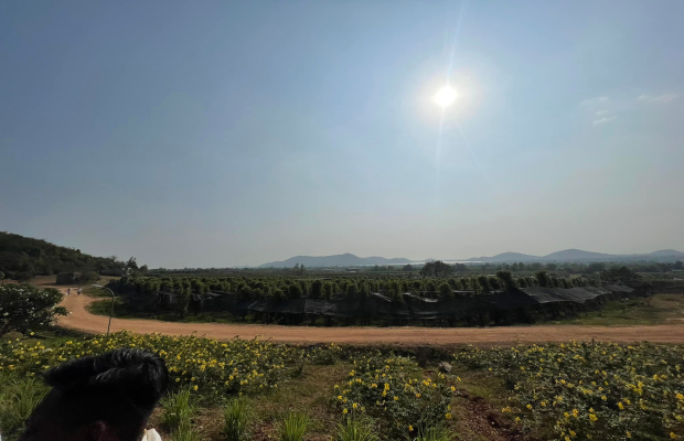 From Phnom Penh to Kampot Day Trip to Beautiful place with Guide